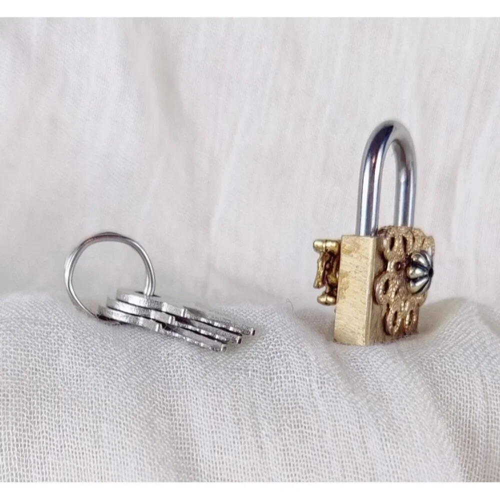 Steampunk Mini Padlock Upcycle Metal Filigree Armadillo Jewelry Key Cosplay